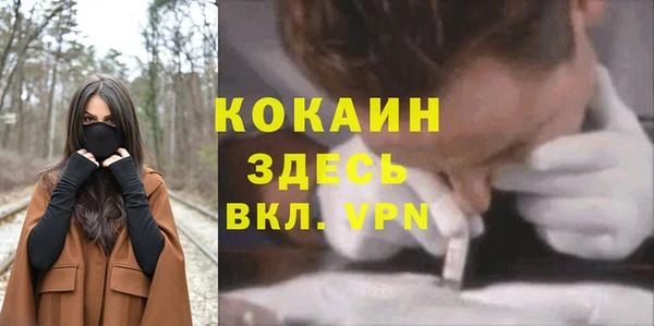 прущий лед Алексин