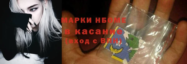 сатива Арсеньев