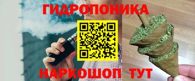 дурь Можга