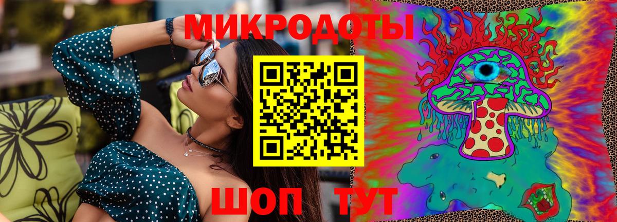 Псилоцибиновые грибы Psilocybine cubensis Волхов