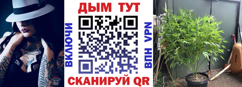 Марихуана AK-47  Волхов 