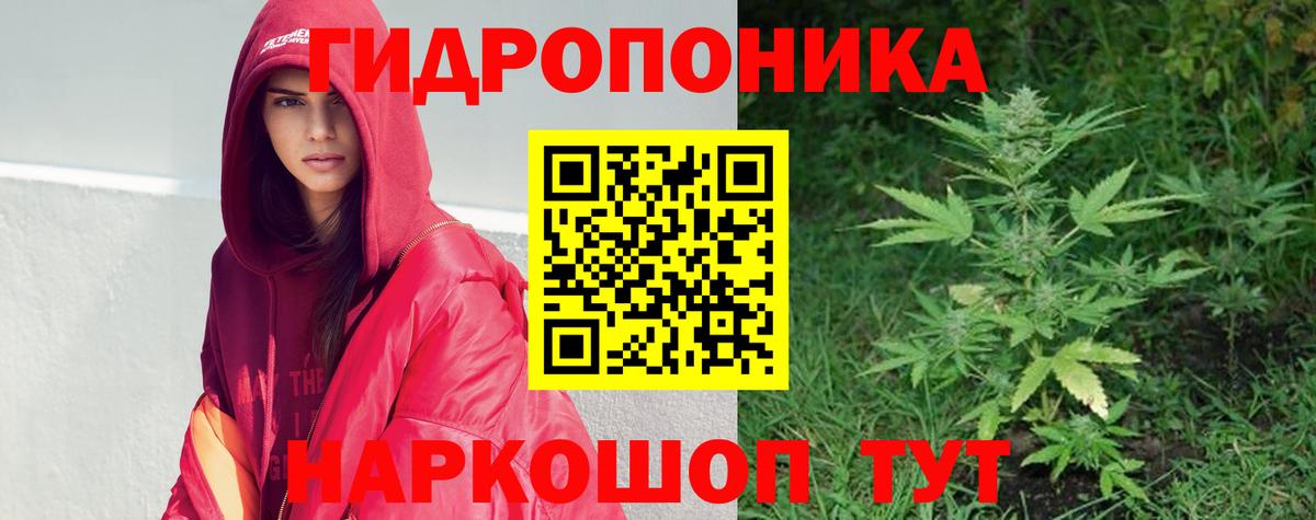 Марихуана THC 21%  Бошки Шишки сатива  Волхов  Вход с VPN 